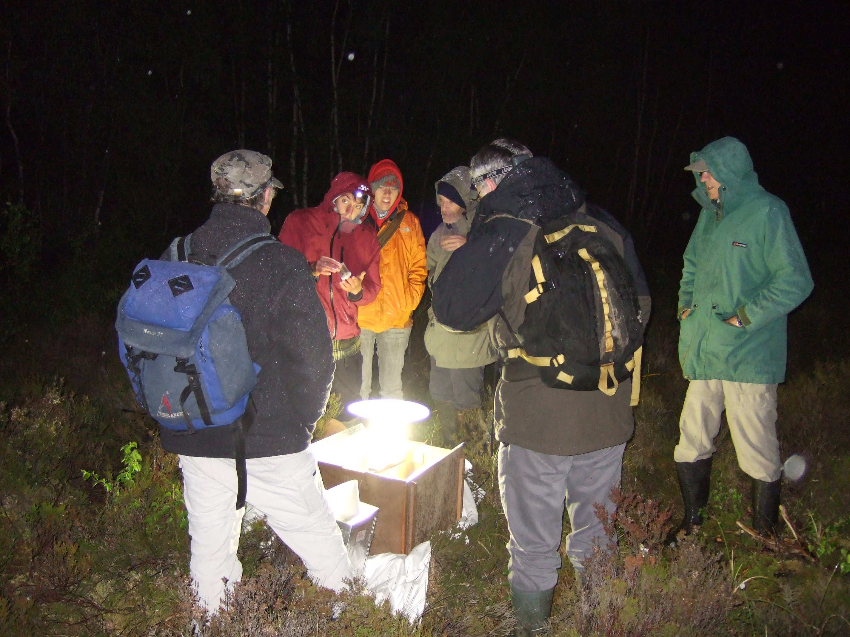 Moth trapping group